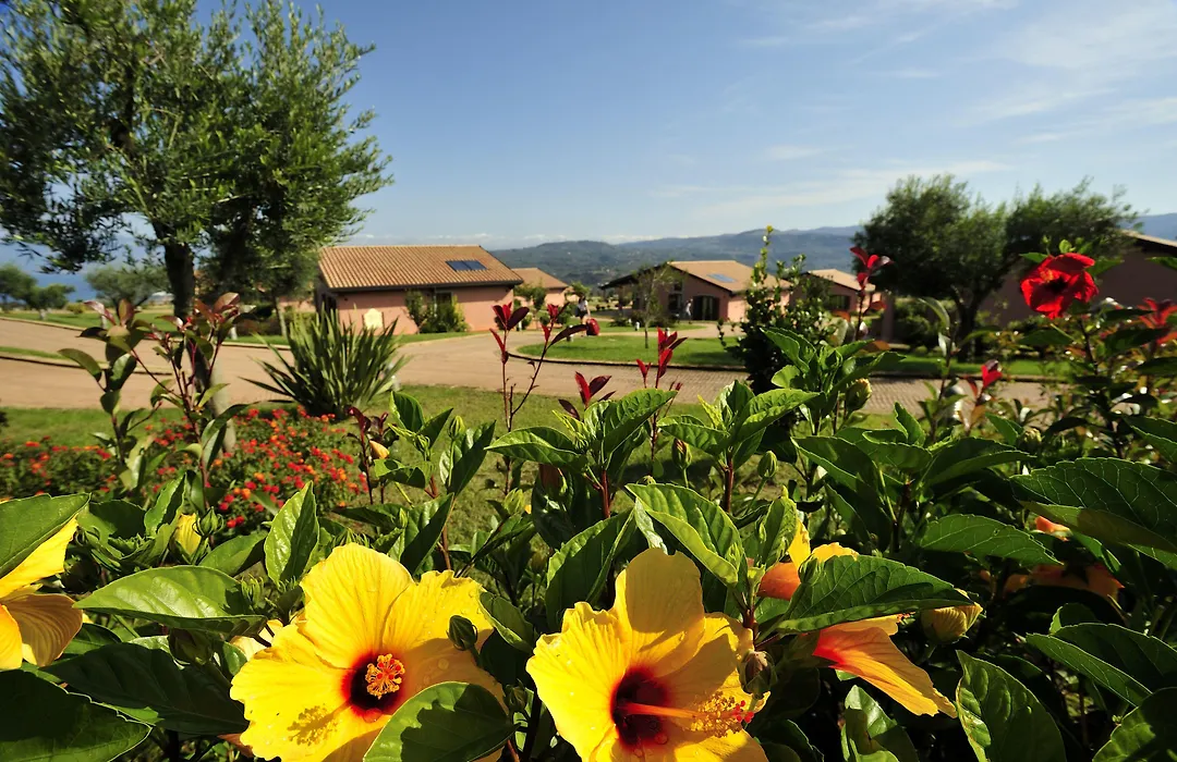 Popilia Country Resort-1