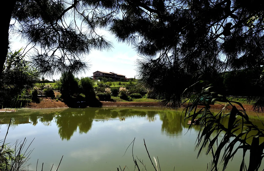 Popilia Country Resort-1