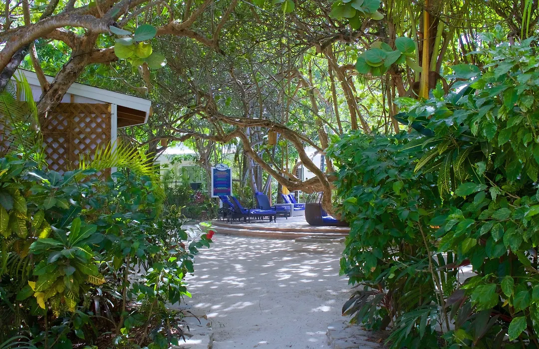 Paradise Beach Resort & Dive Center-1
