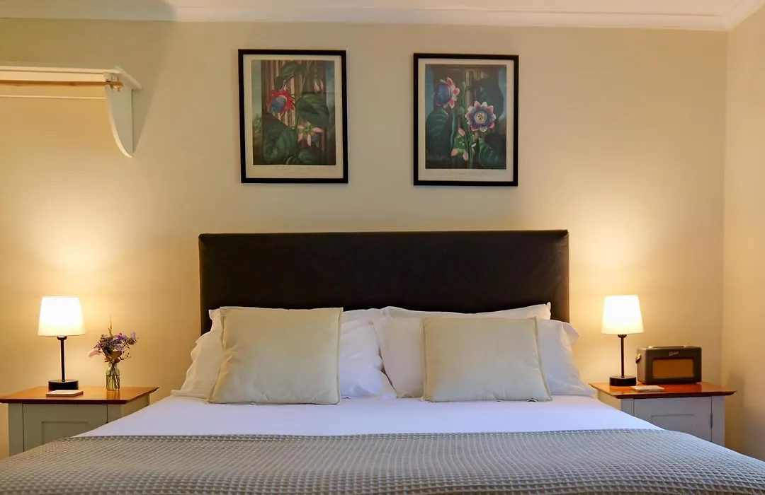 The Bellachroy-1