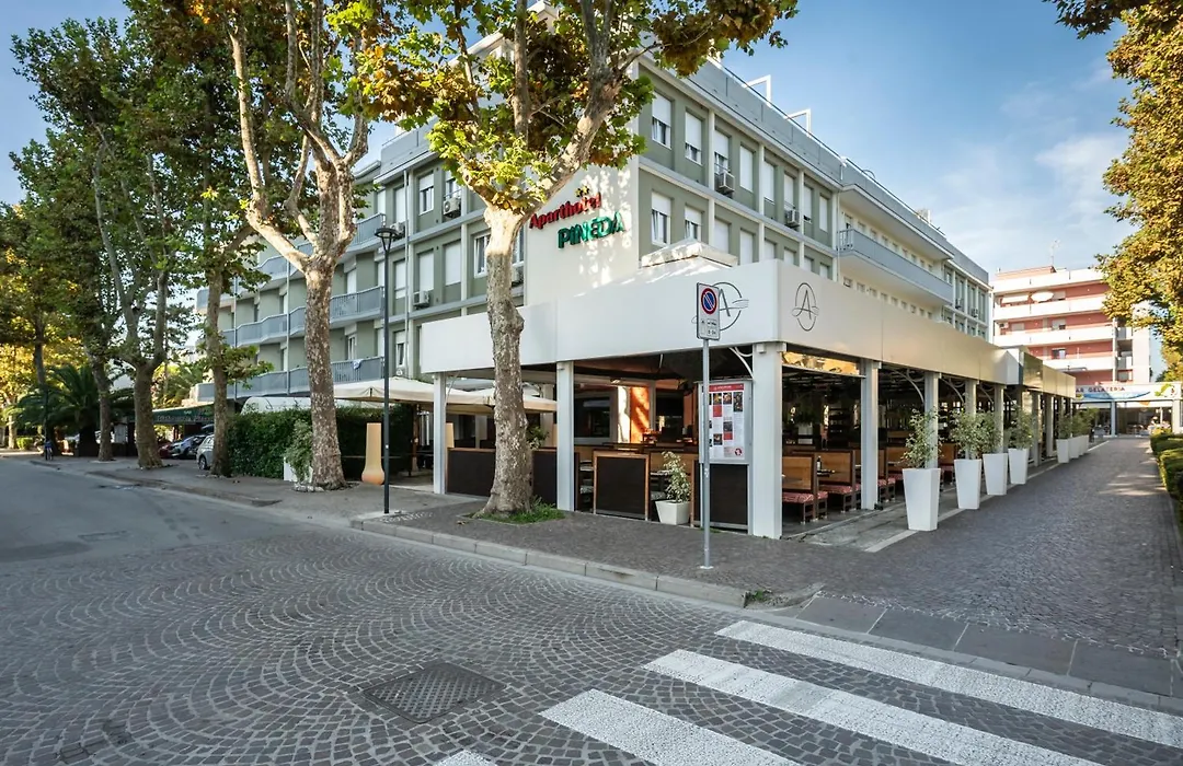 Aparthotel Pineda-1