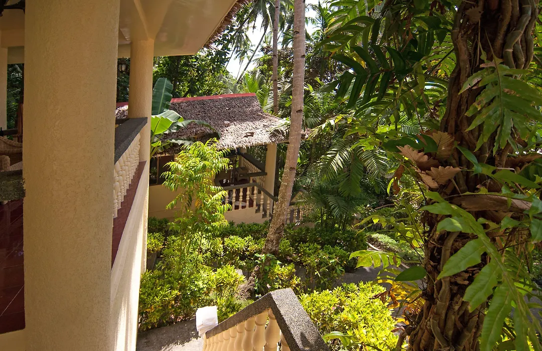 Easy Diving And Beach Resort-1