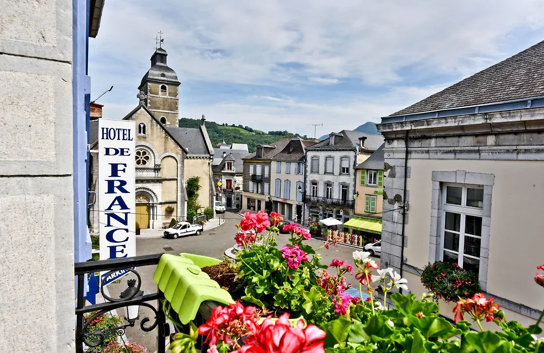 Logis Hotel De France-1