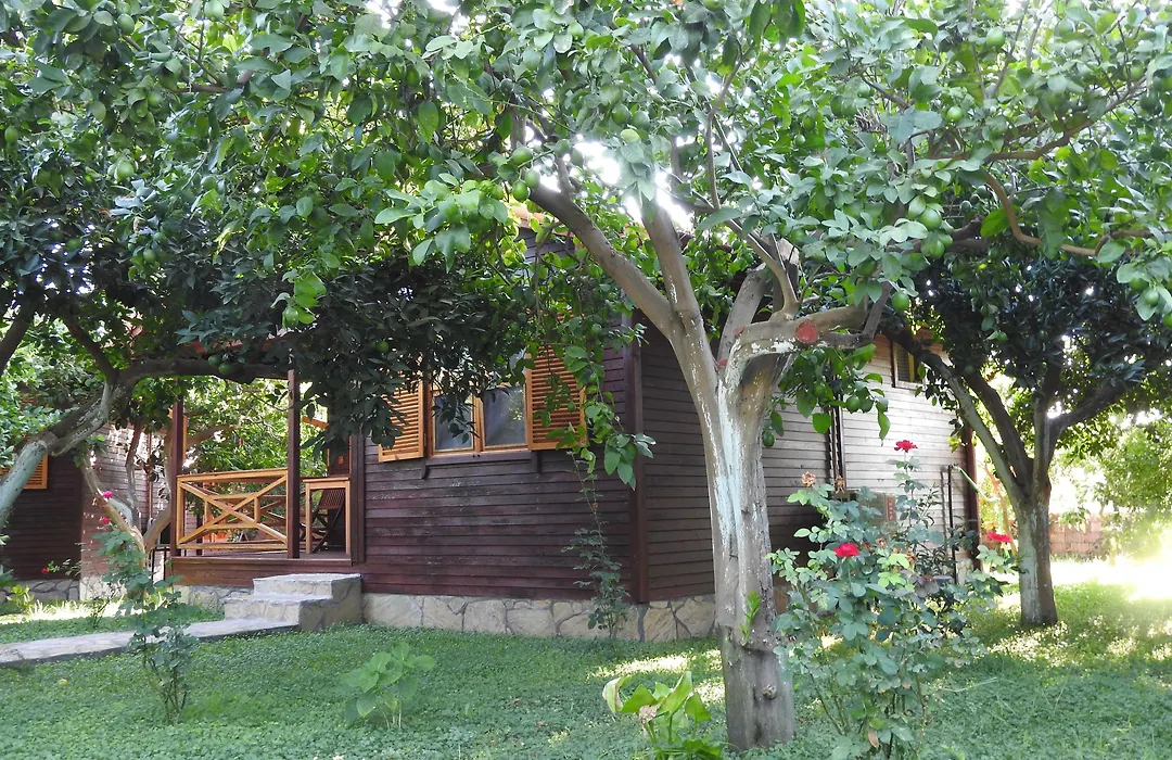 Mercan Bungalow-1