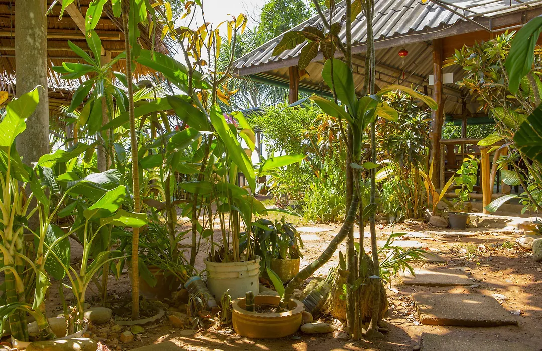 Lanta Coral Beach Resort-1