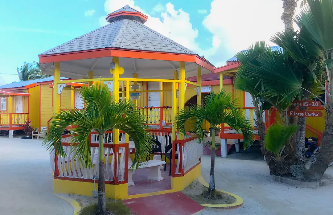 Tropical Paradise-1
