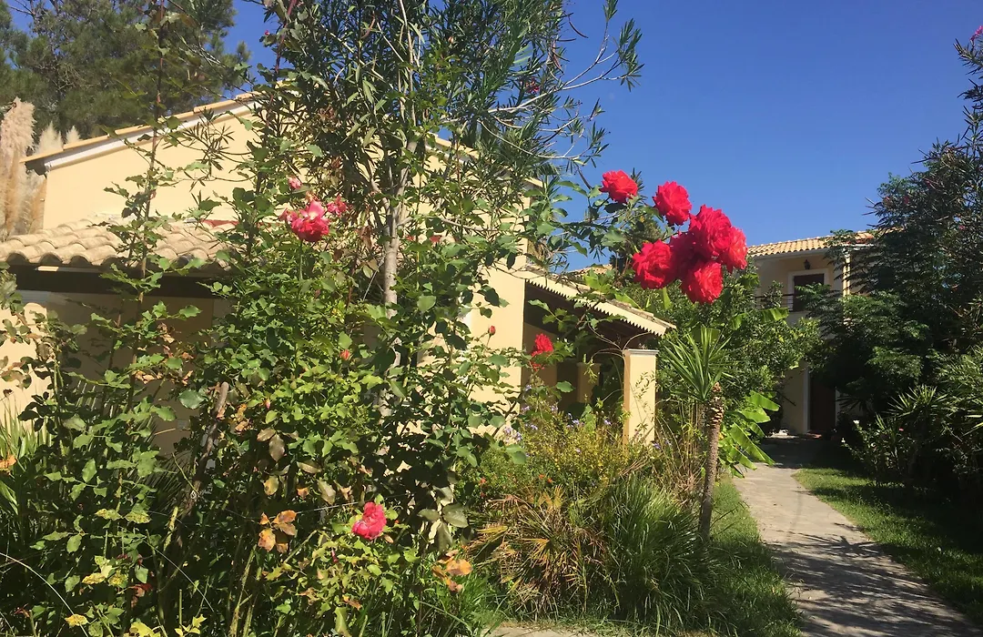 Ilena Hotel-1