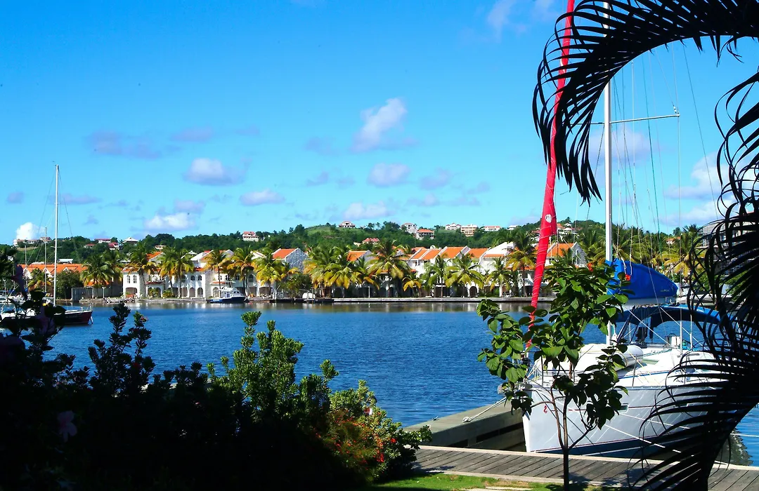 The Harbour-1