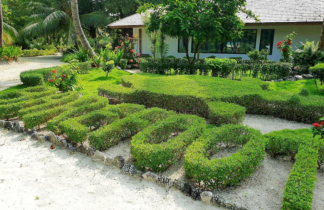 The Barefoot Eco Hotel-1