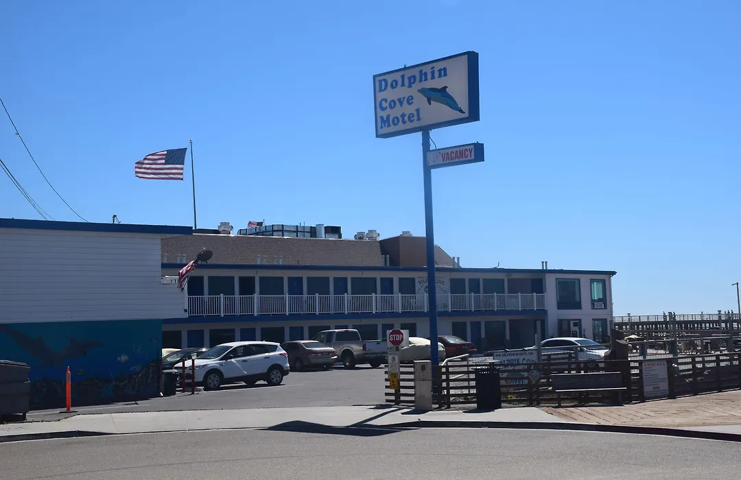 Dolphin Cove Motel-1
