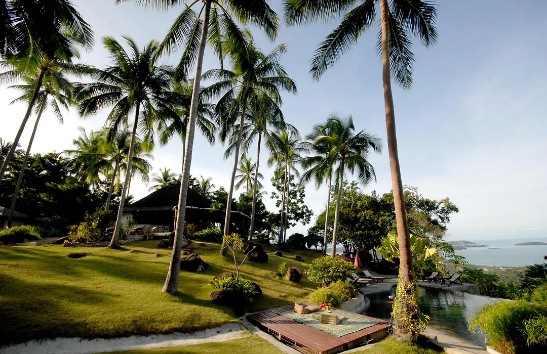 The Jungle Club-1