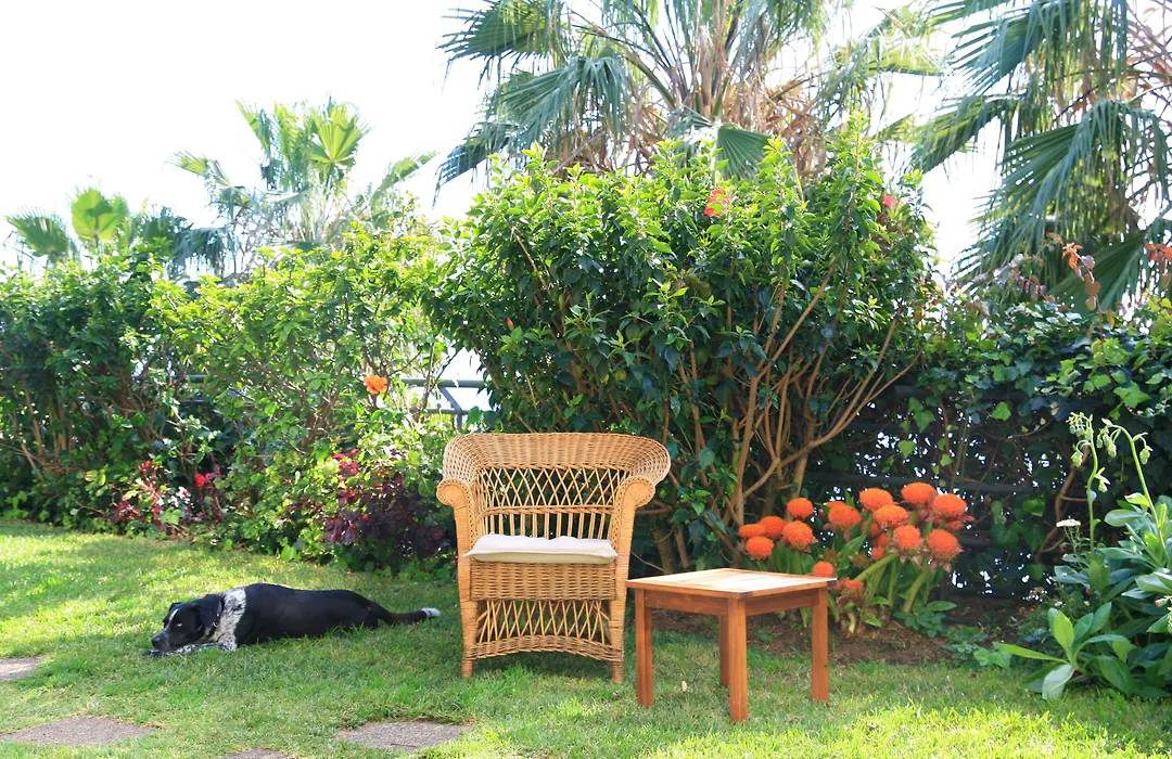 Casa Do Papagaio Verde-1