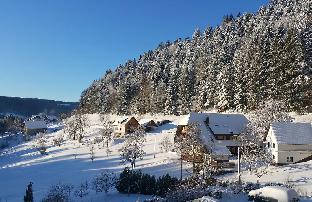Oeko-Landhotel Basler Hof-1