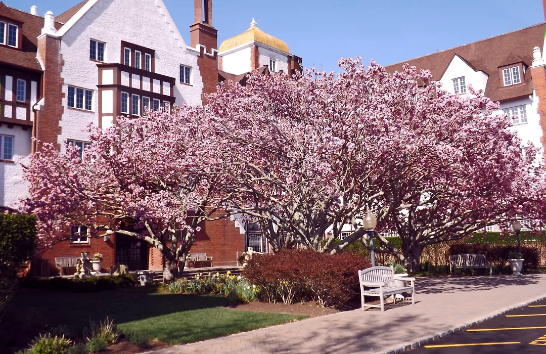 Montauk Manor-1