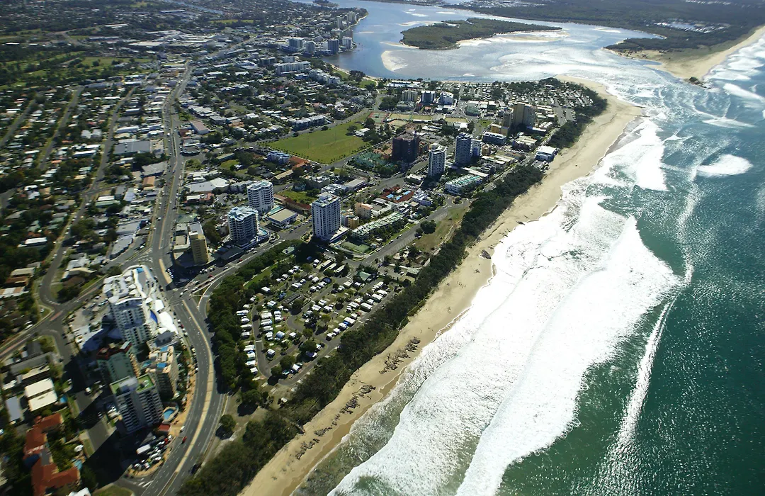 Verve On Cotton Tree-1