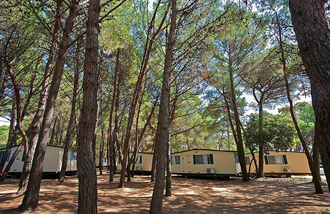 Arena Medulin Mobile Homes-1