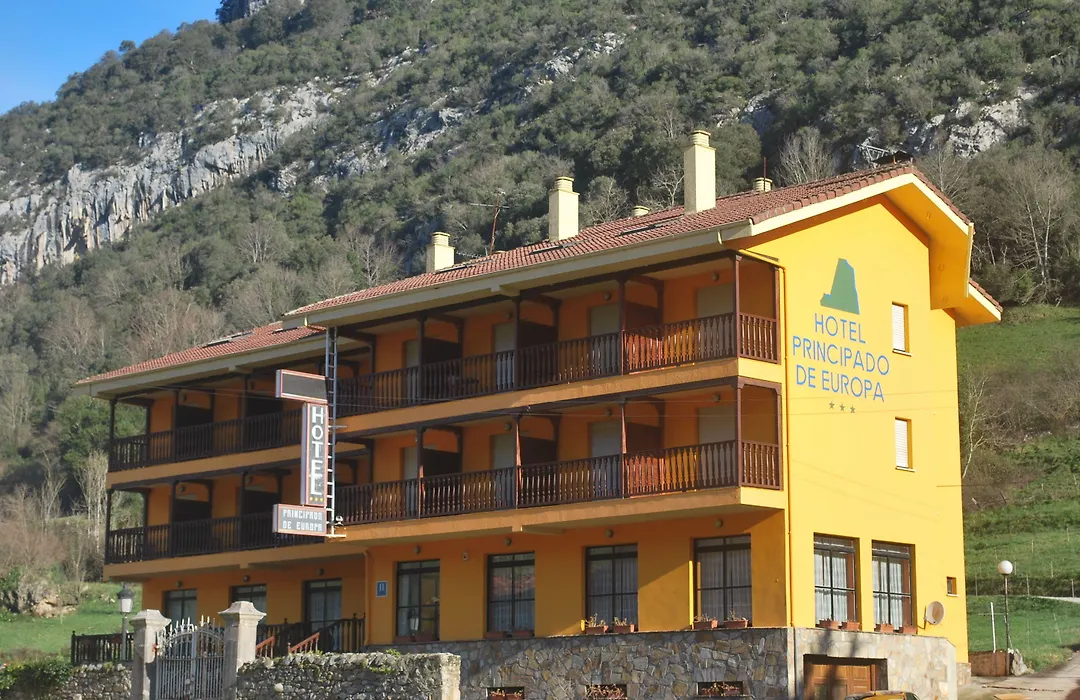 Hotel Principado De Europa-1