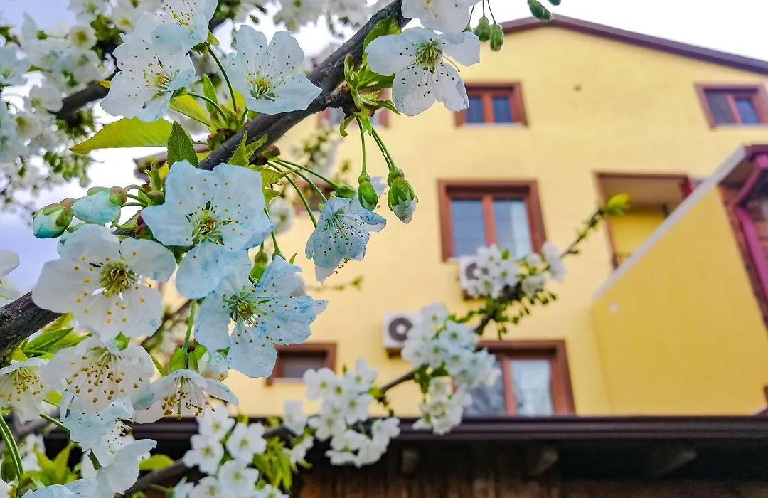 Iznik Seyir Otel-1