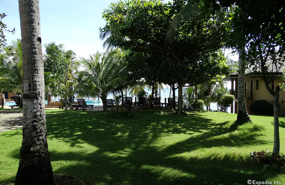 Anda White Beach Resort-1