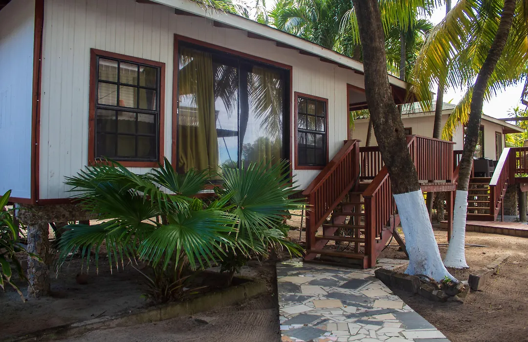 Coconut Tree West Bay-1