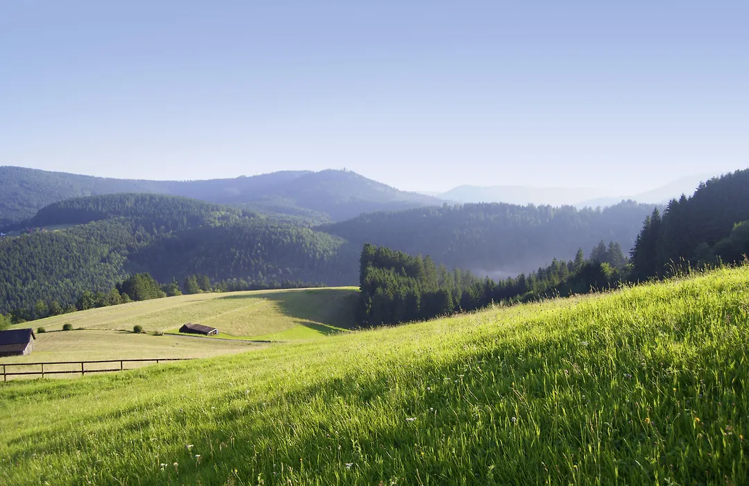 Sackmann Schwarzwald Charme-1