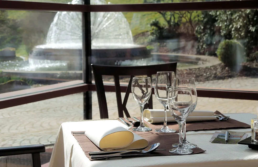 Hotel Therme Bad Teinach-1