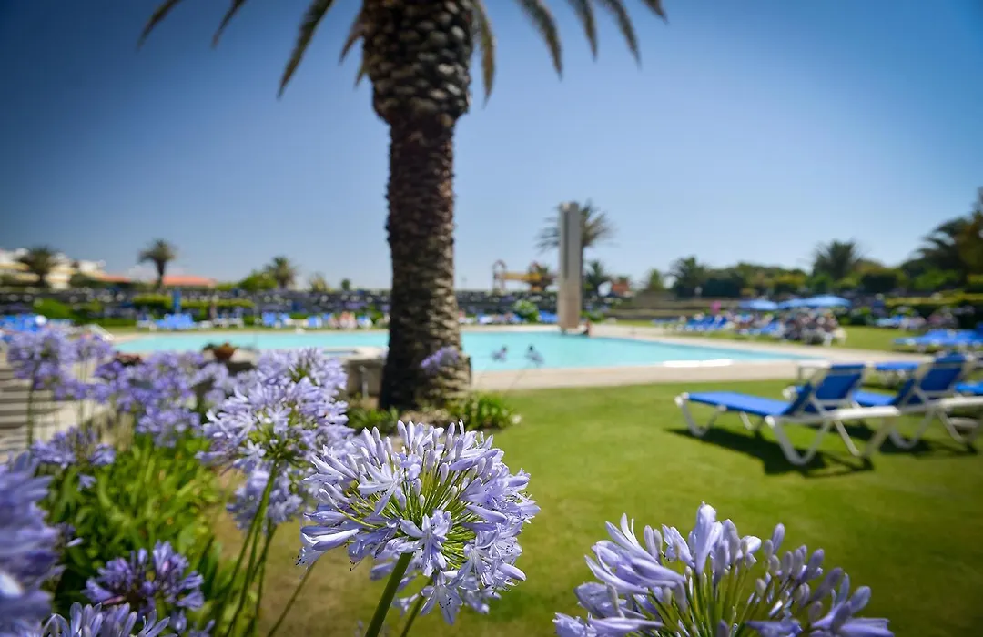 Hotel Solverde Spa&Wellness Center-1