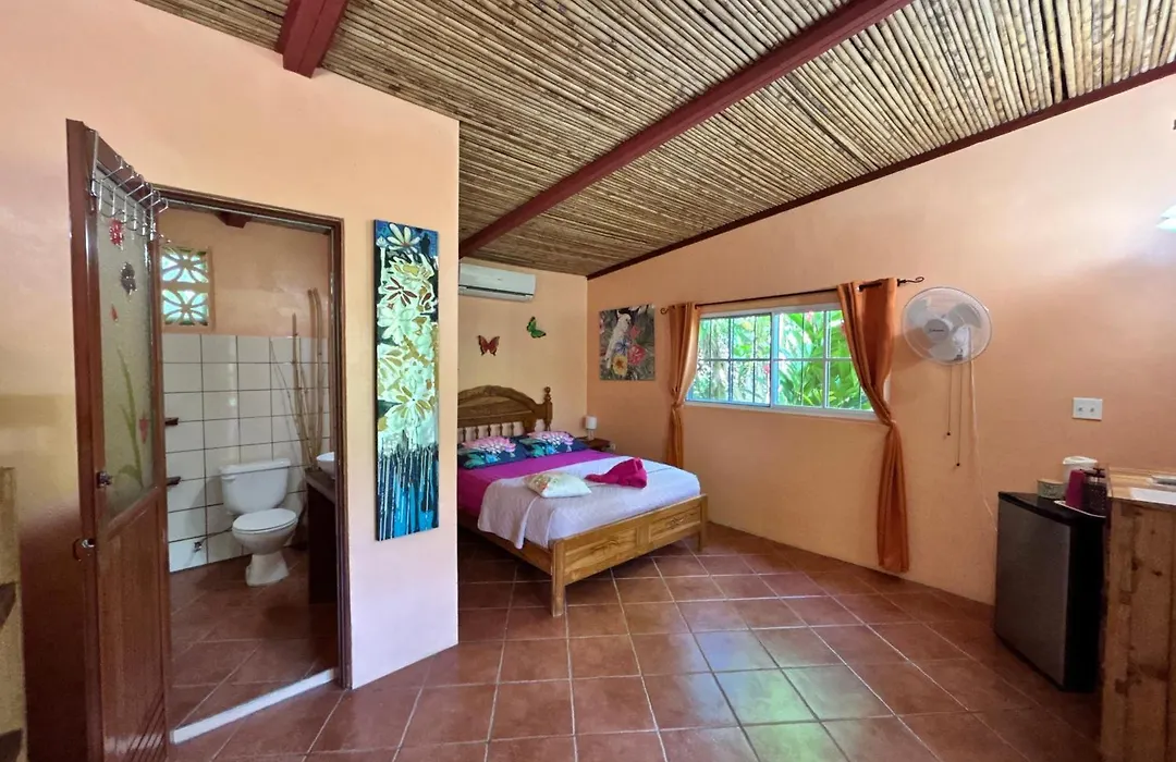 Cabanas Los Colibris Hotel Ecolodge-1