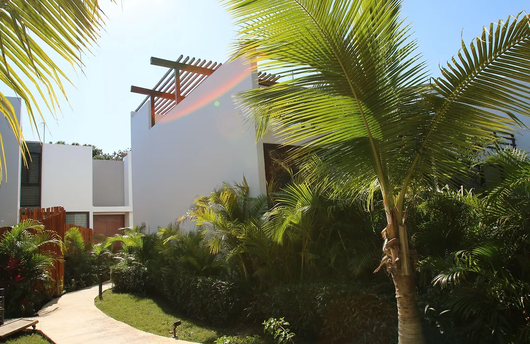 Anah Tulum-1