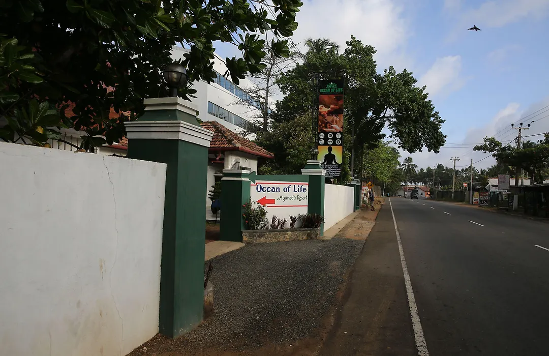Ocean Of Life Ayurveda Hotel-1