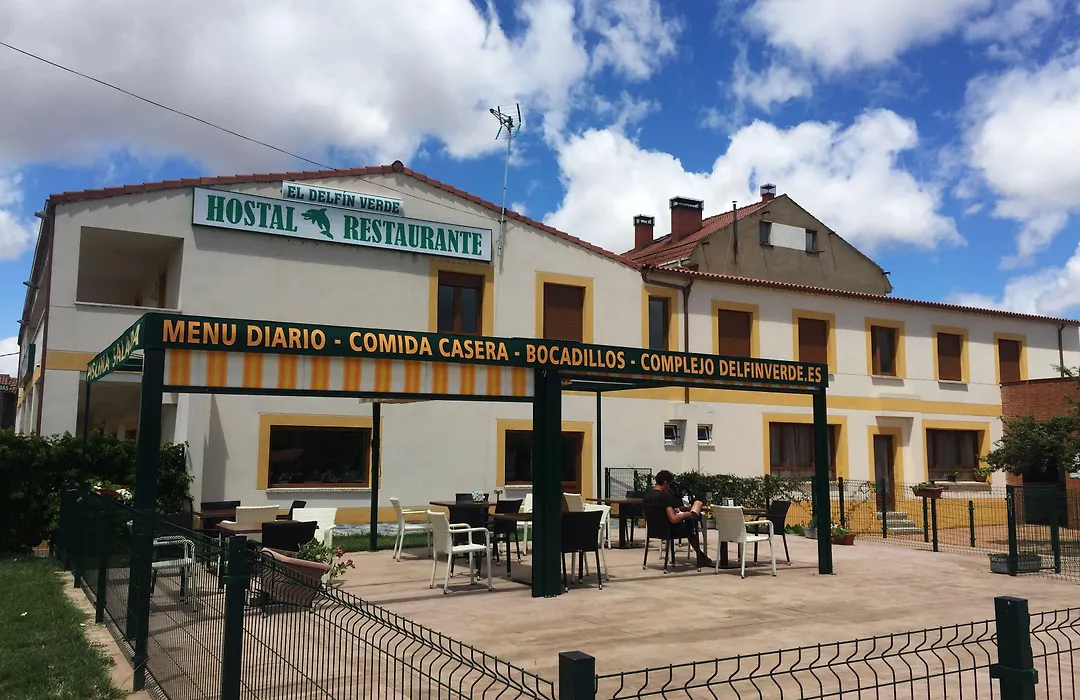 El Delfín Verde-1