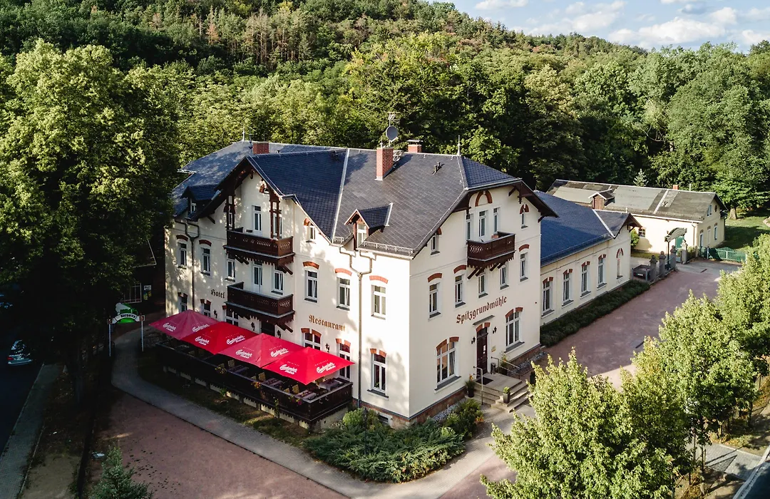 Historische Spitzgrundmühle-1