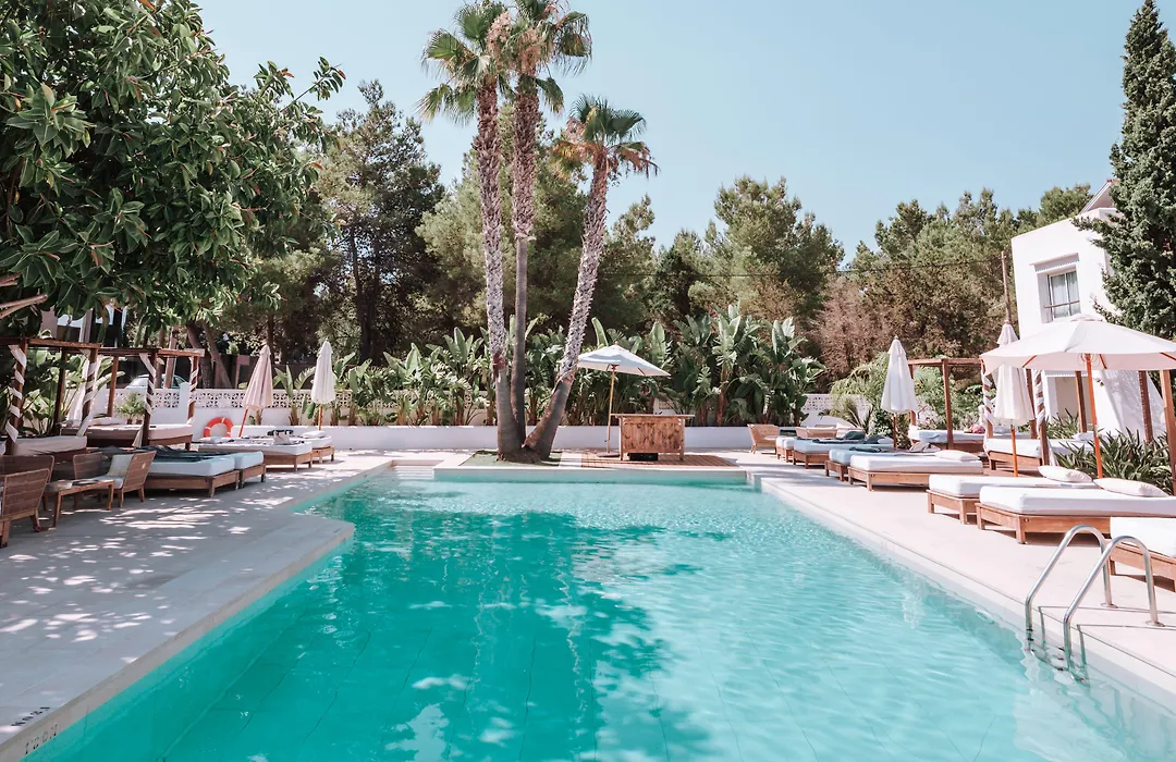 Hotel Boutique & Spa Las Mimosas Ibiza (Adults Only)-1