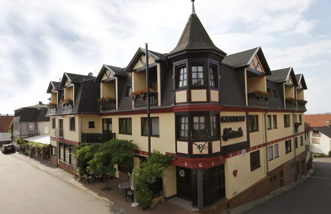 Hotel Hirsch-1