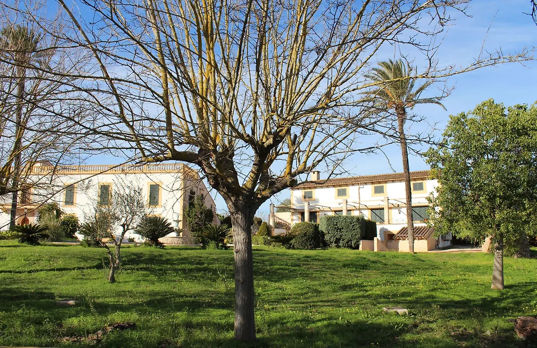Finca Son Manera-1