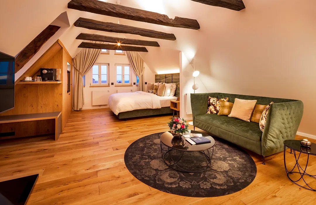 Hotel Brunnenhaus Schloss Landau-1