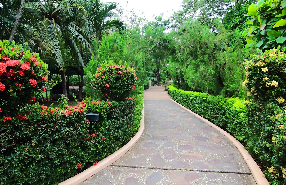 Villa del Sueño-1