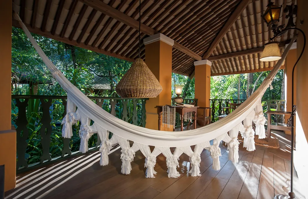 Toca Da Coruja - Eco Luxury Retreat-1