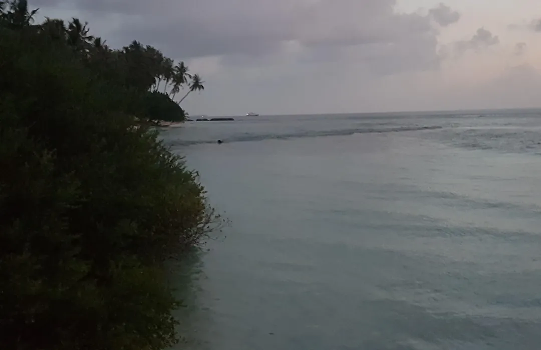Surf Deck-1