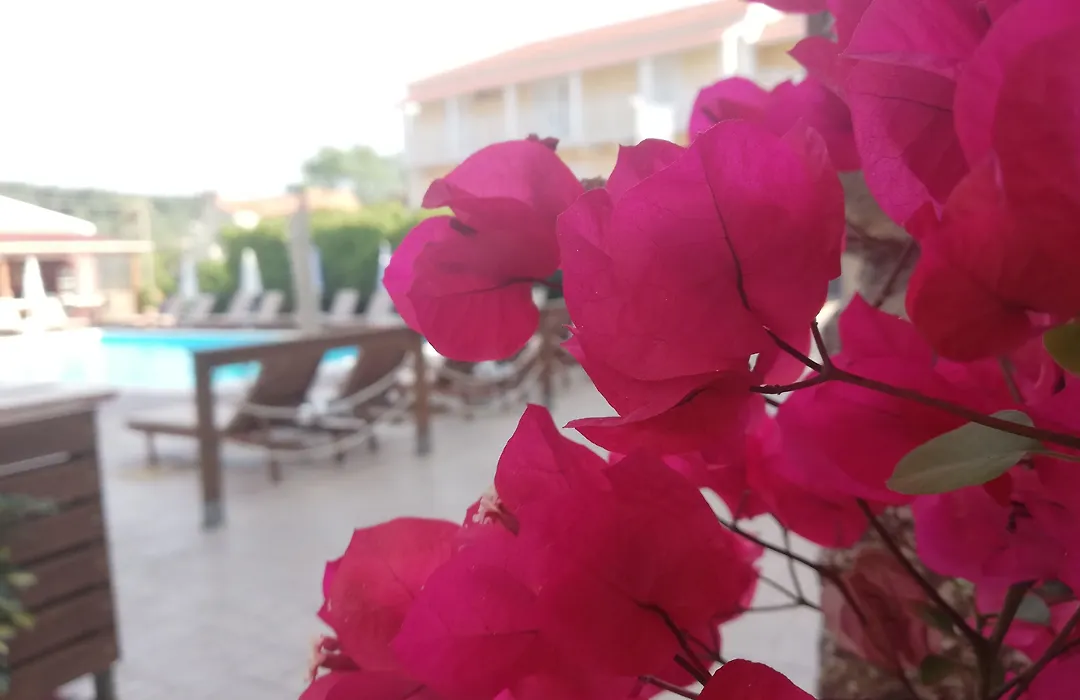 The Mathraki Studios (Adults Only)-1