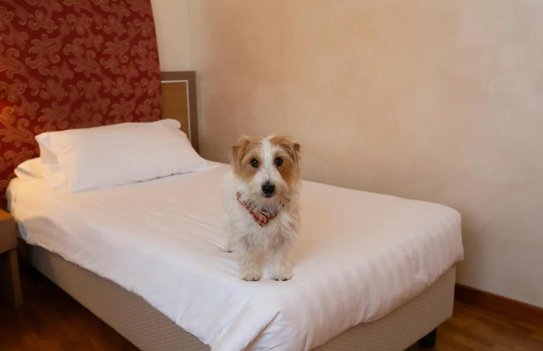 Poli Hotel-1