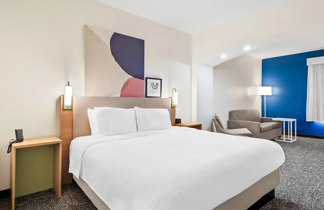 Spark By Hilton Kingsland-1