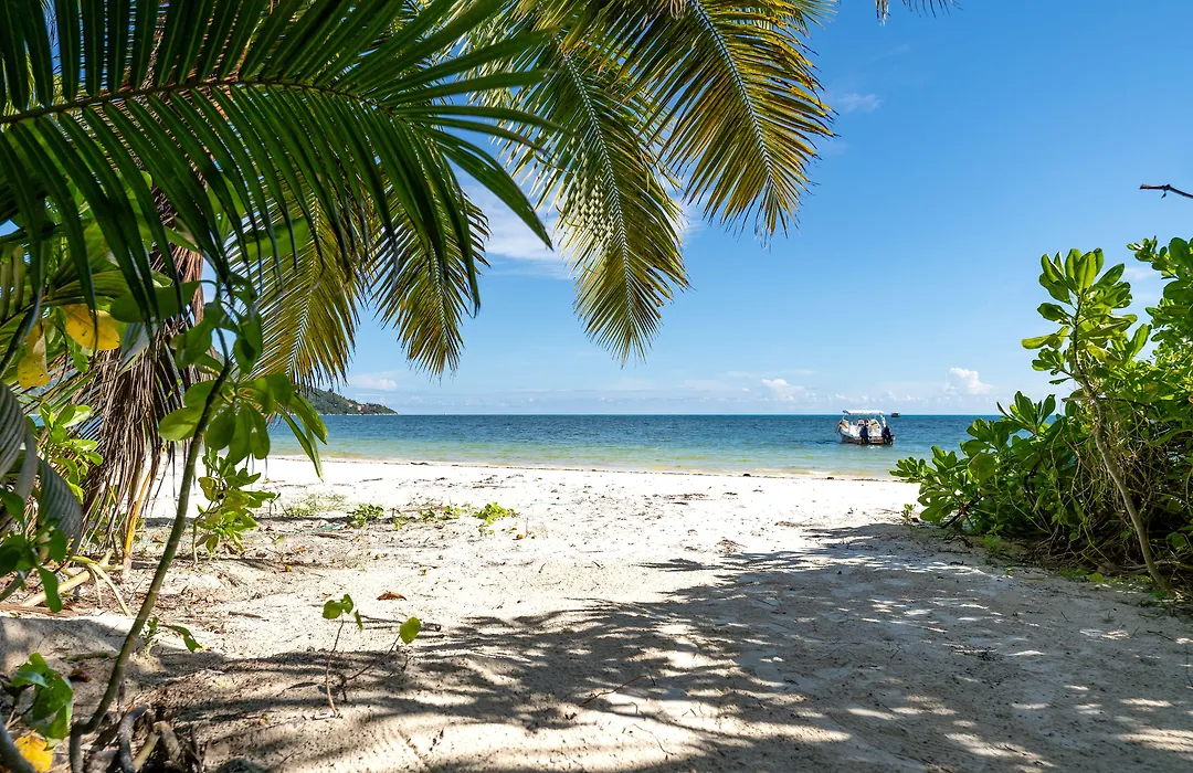 Bliss Hotel Praslin-1