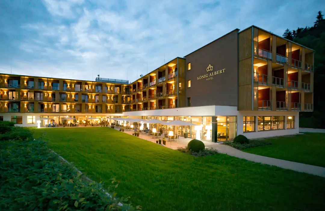 Hotel Koenig Albert-1