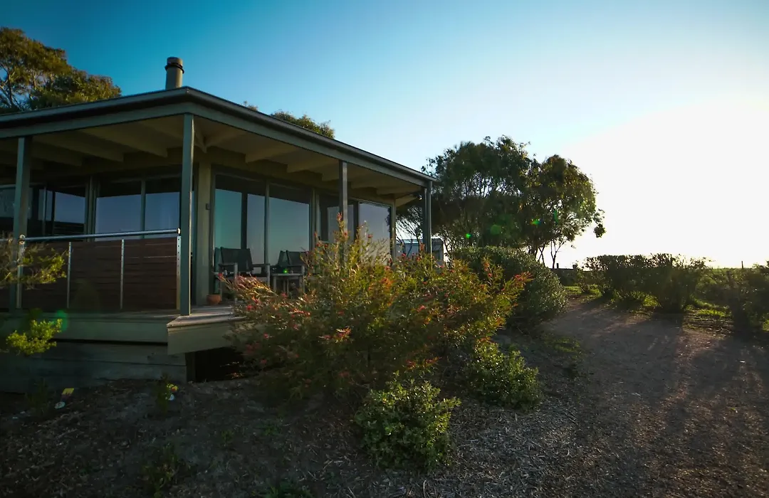 Limosa Rise-1
