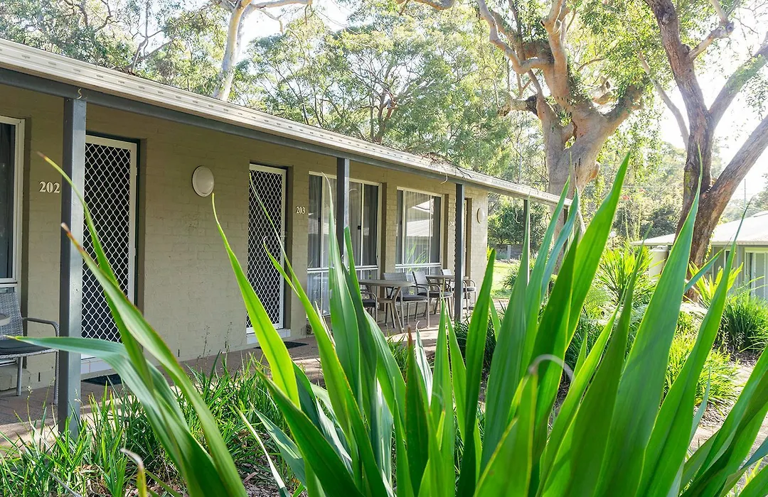 Port Stephens Koala Sanctuary-1
