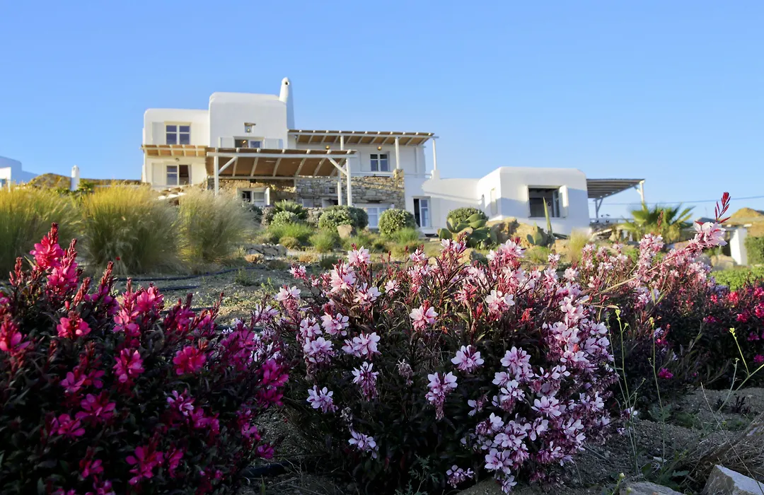 Salty Houses-1