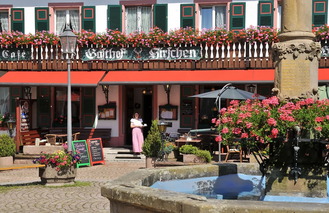 Hotel Hirschen-1