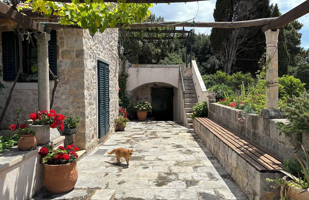 Villa Anica Dubrovnik - Luxurious With A Sea View-1