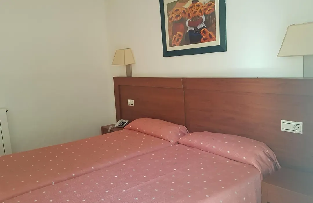 Hotel Mayna-1